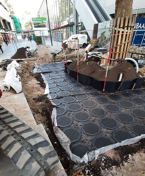 TreeParker-systeem is afgevuld met rijke boombunkergrond en gesloten. TreeParker-systeem is afgevuld met rijke boombunkergrond en gesloten.