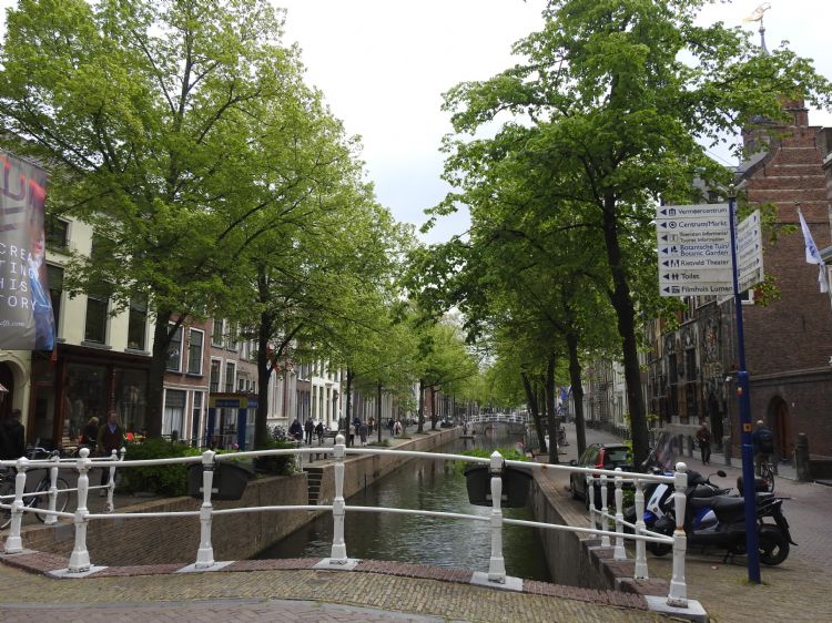 Langs de grachten sieren bomen de historische binnenstad van Delft. Langs de grachten sieren bomen de historische binnenstad van Delft.