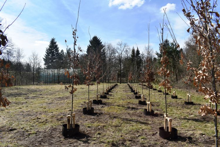 De startsituatie van de praktijkproef De startsituatie van de praktijkproef