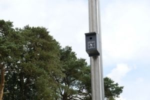 Spreeuwenkast bij de KNVB