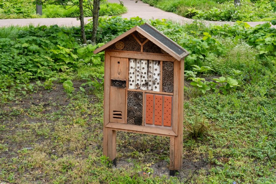 Stationspostgebouw, Den Haag (foto: Van den Berk Boomkwekerijen) Stationspostgebouw, Den Haag (foto: Van den Berk Boomkwekerijen)