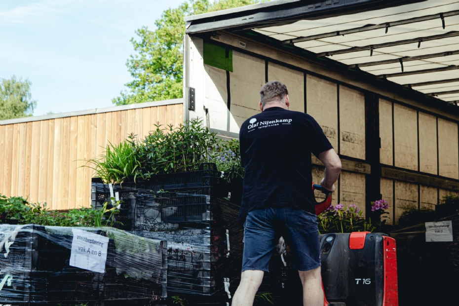Gratis transport van alle bomen en planten Gratis transport van alle bomen en planten