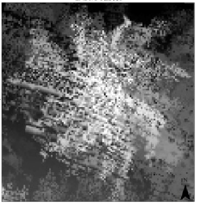 Pointcloud met ruis Pointcloud met ruis