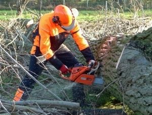 Nieuwe zaagkleding van Stierman