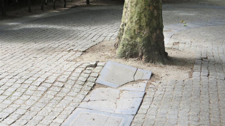 Wortelopdruk Wortelopdruk