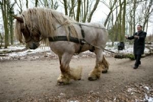 Wethouder Boudewijn Revis op bezoek bij landgoed Clingendael