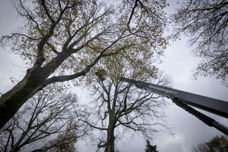 De Genie op TraX kan een hoogte van bijna 22 meter bereiken. De Genie op TraX kan een hoogte van bijna 22 meter bereiken.