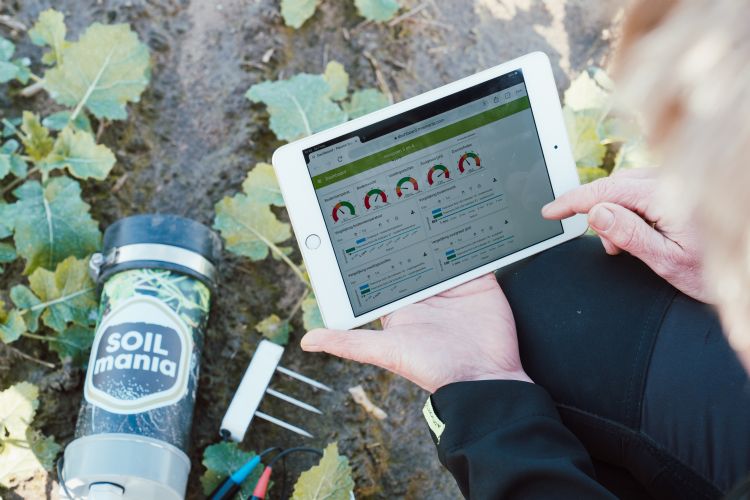 Weergave van het dashboard van de bodemlevensensor Weergave van het dashboard van de bodemlevensensor