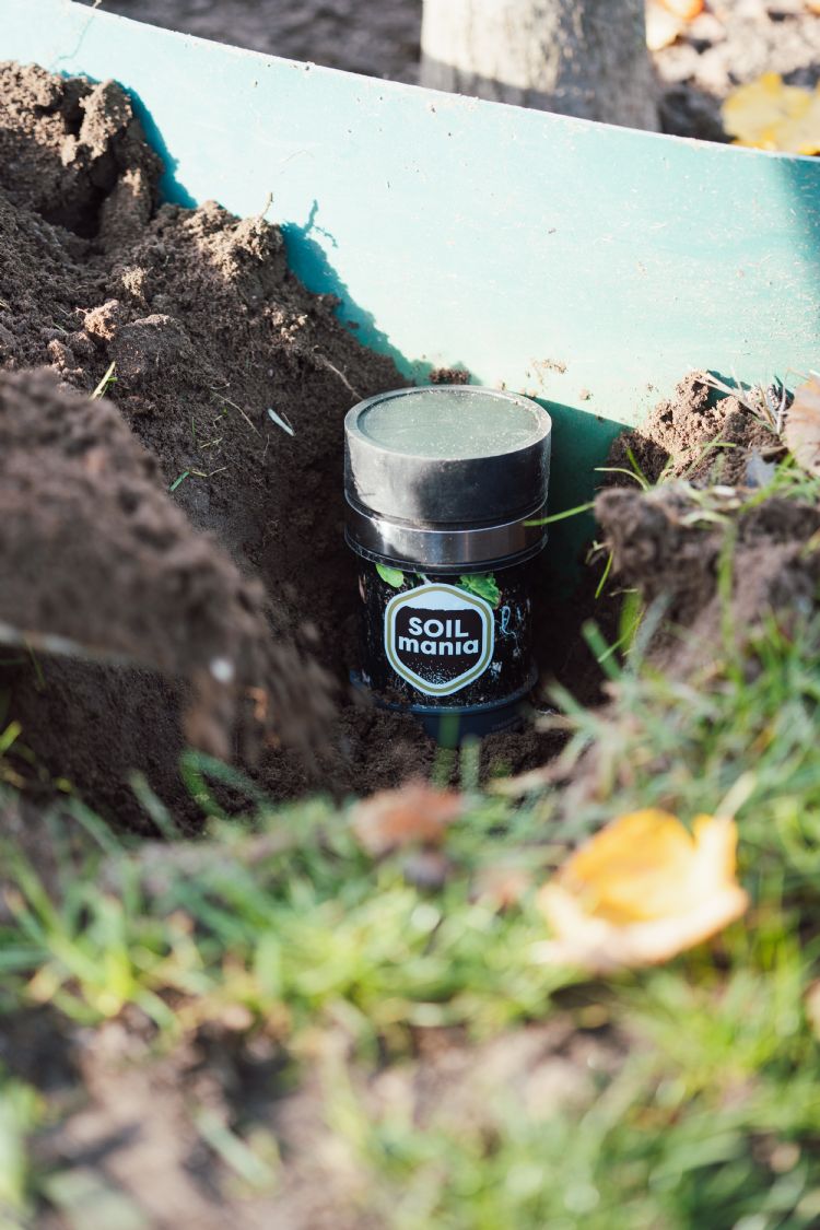 De sensor van Treemania De sensor van Treemania