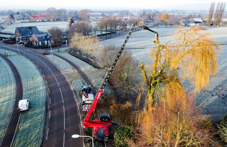 Met verreiker, fly jib en GMT035 TTC hoge bomen te lijf gaan. Foto: Bastijn de Groot en BoomOntzorging.com