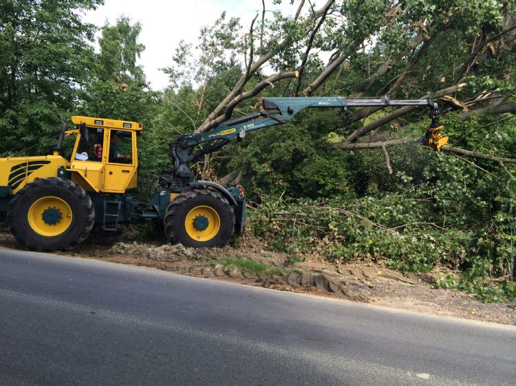 Stormschade wordt snel en veilig weggewerkt, zonder grote velploeg met kettingzagen