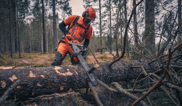 De nieuwe Husqvarna 592 XP cc-kettingzaag. Foto: Husqvarna De nieuwe Husqvarna 592 XP cc-kettingzaag. Foto: Husqvarna