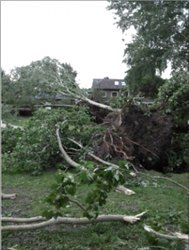 Stormschade in Eindhoven Stormschade in Eindhoven