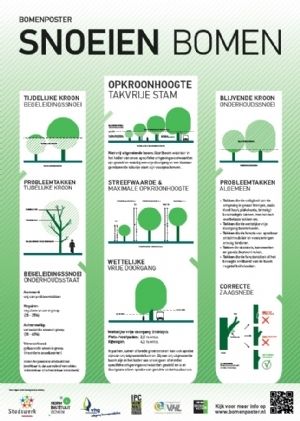 lancering-bomenposter-snoeien-bomen