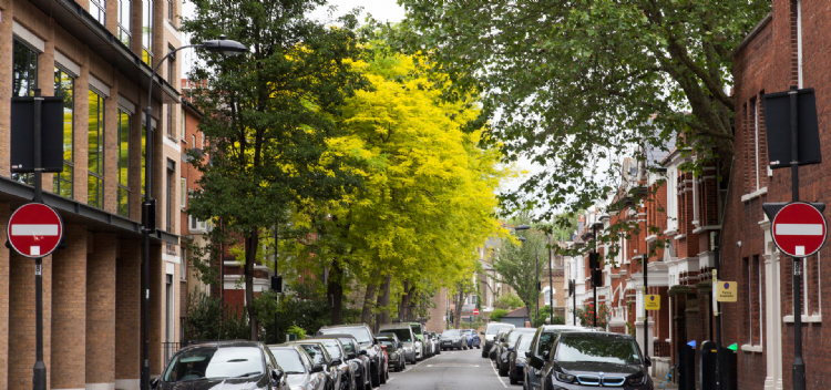 Foto: Paul Wood Foto: Paul Wood