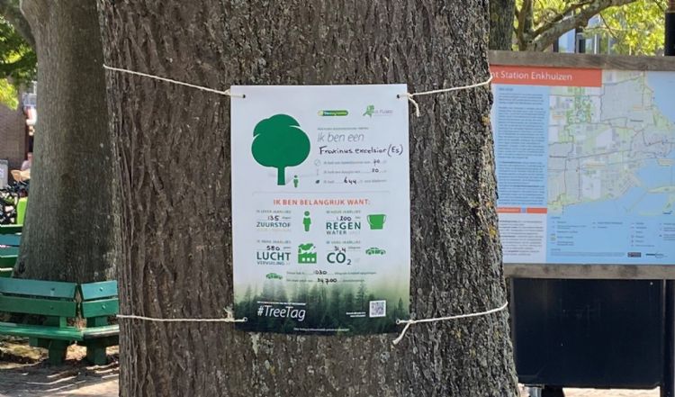 Treetag in Eindhoven. Bron: Henk Werner/Twitter