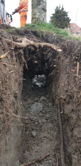 vrijgemaakte wortels