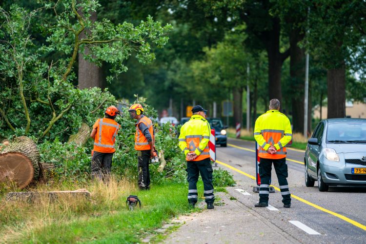 Foto: Van Weert Rondhout