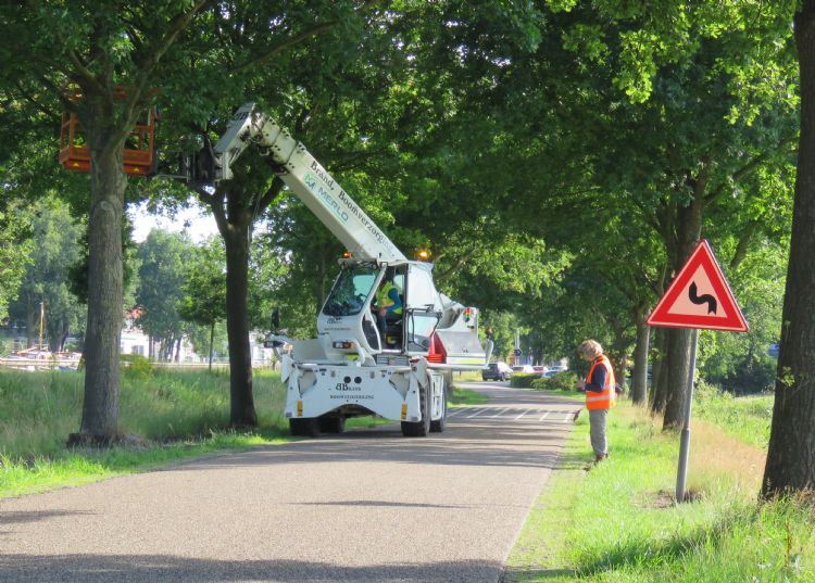 Aanbrengen feromonen voor paringsverstoring op proeflocaties. (Foto: Silvia Hellingman)