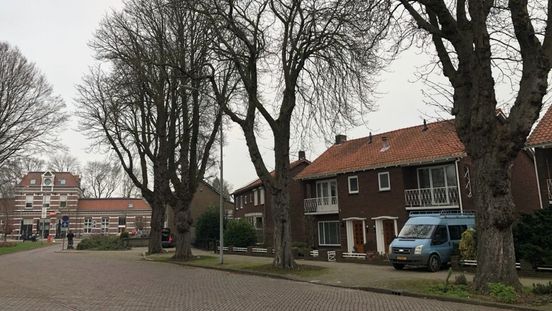 Kastanjes bij station Tiel. Foto: Omroep Gelderland