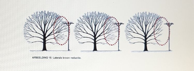 Illustratie uit de ETPS