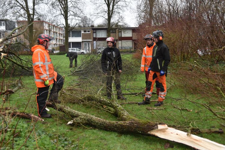 Storm Eunice zorgde voor oefenmateriaal voor de breuksnoeicursisten.