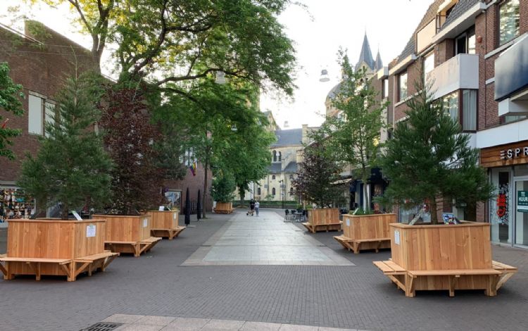 Plotseling staan er bomen in de straat