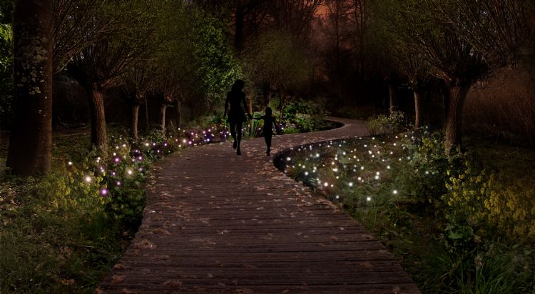 Oplichtende puntjes langs het water met energie uit de aarde