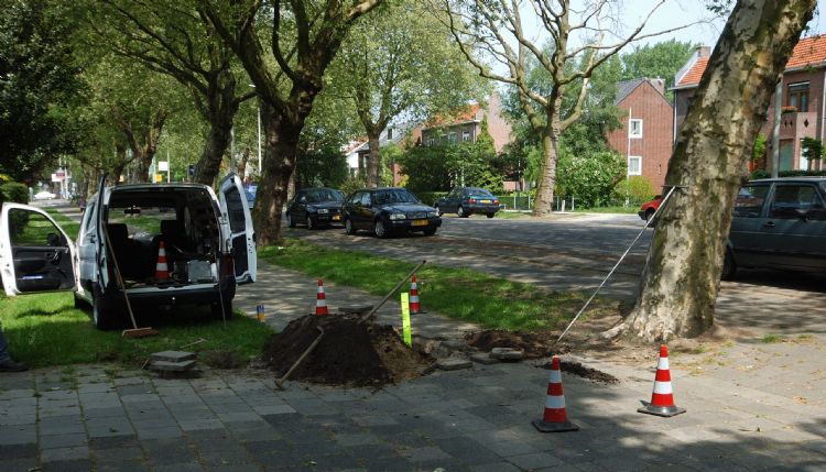 Werkplek van een boomspecialist