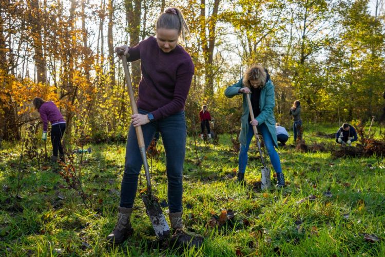 Aan het werk op Black Friday