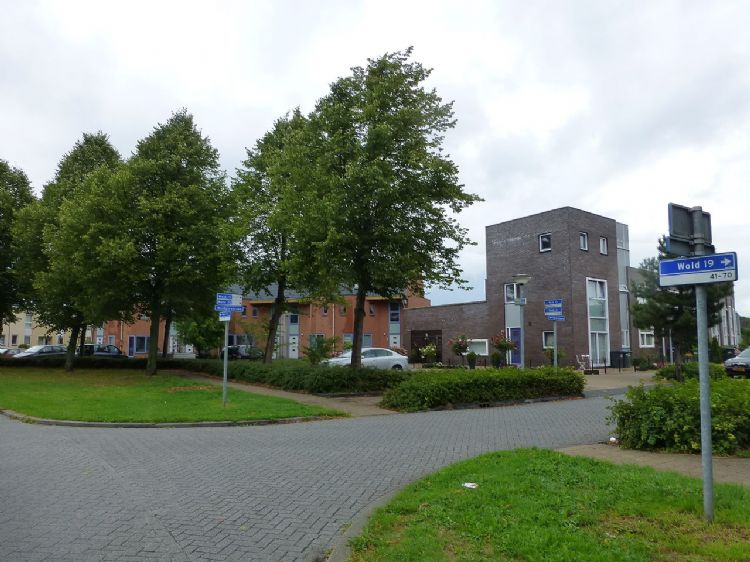 Lelystad; deze buurt beschikt al over veel groen