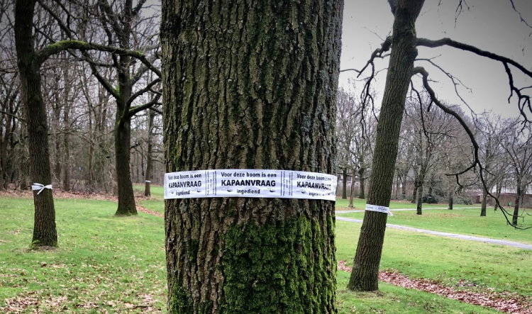 Foto: Stadse Boeren Oss; een groep bewoners die zich verzet tegen kap van de bomen