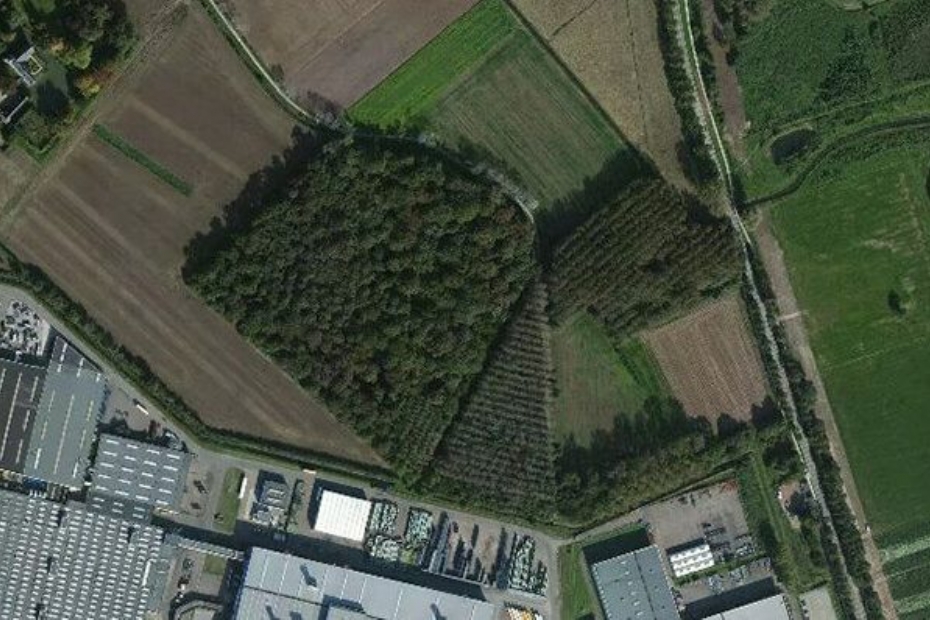 Het voormalige Sterrebos (foto: Open Streetmap)