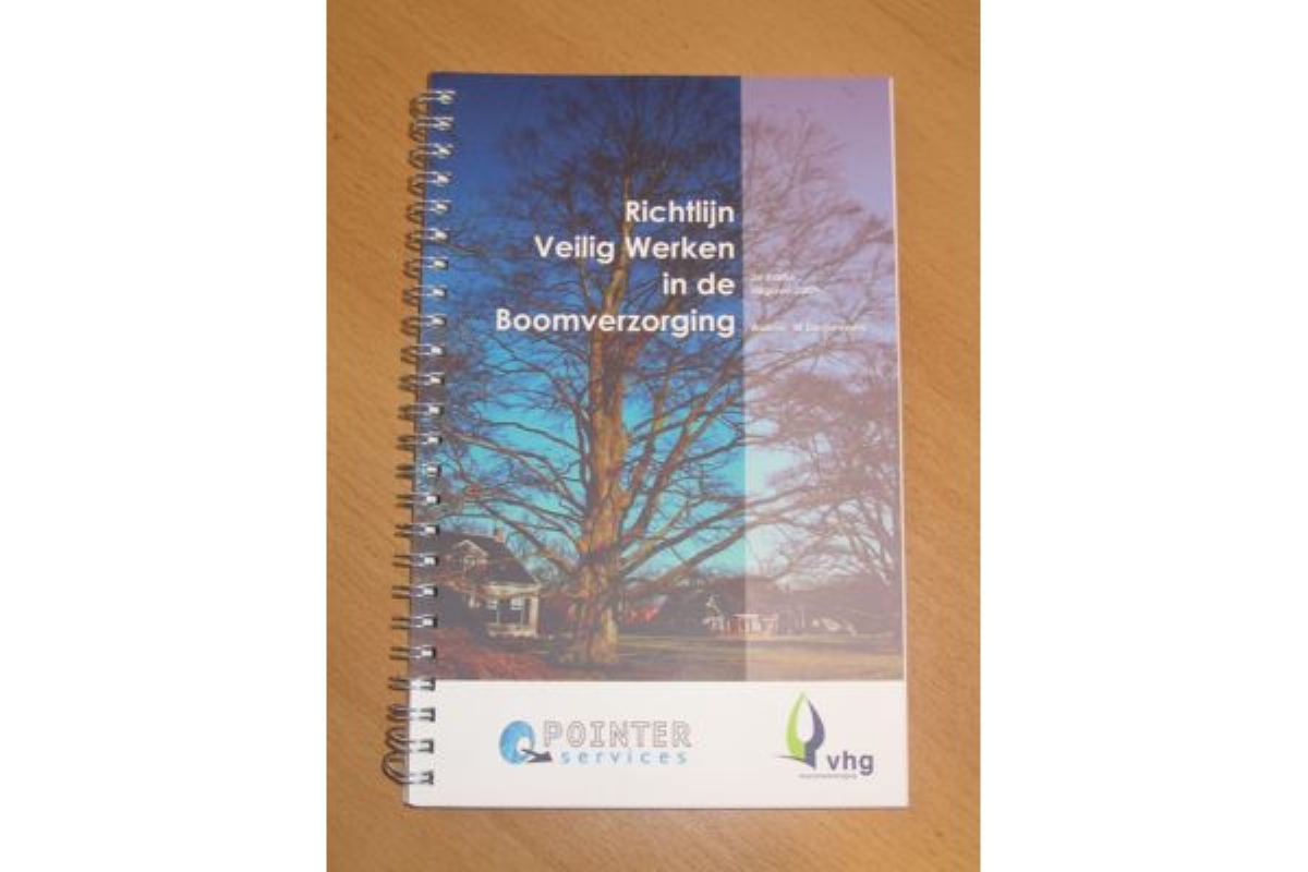 Secret Book Veilige Kluis Met Slot, Geldcassette In Woordenboek Boekkluis Verborgen Boek Sleutel Anti Diefstal Veilig Geheime Box Geldkast Opbergdoos 663761040