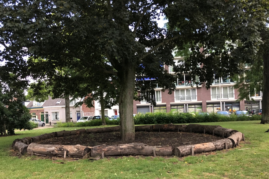 Groeiplaatsinrichting