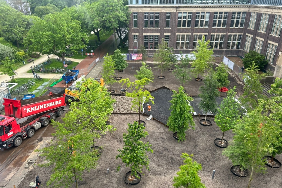 Het pas aangeplante stadsklimaatbos bij de faculteit Bouwkunde. Foto: TU Delft