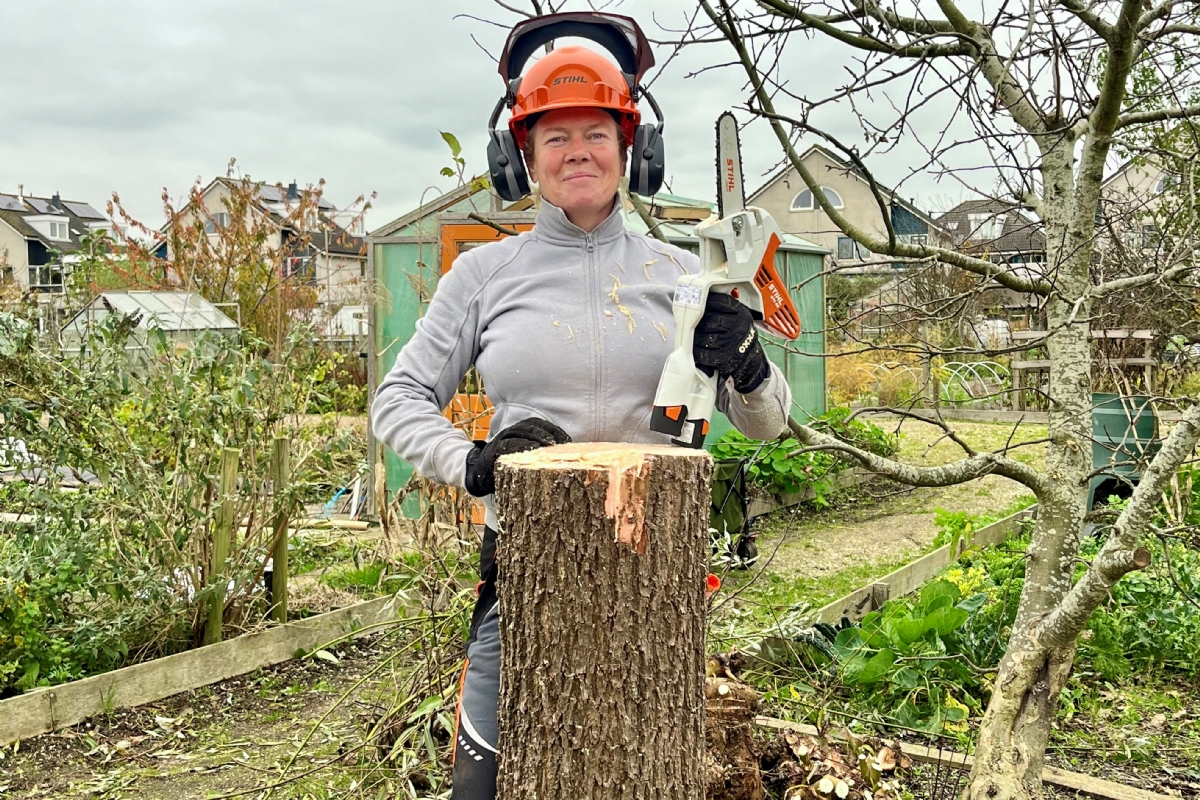 Stihl HTA 66 accu hoogsnoeier (met AP 200 S accu en AL 101 lader