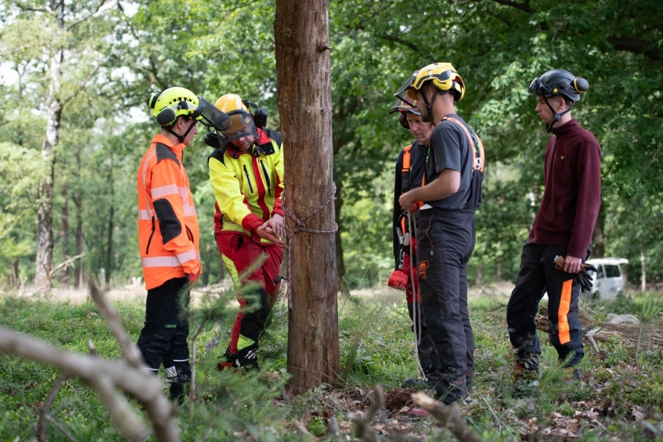 Foto: IPC Groene Ruimte