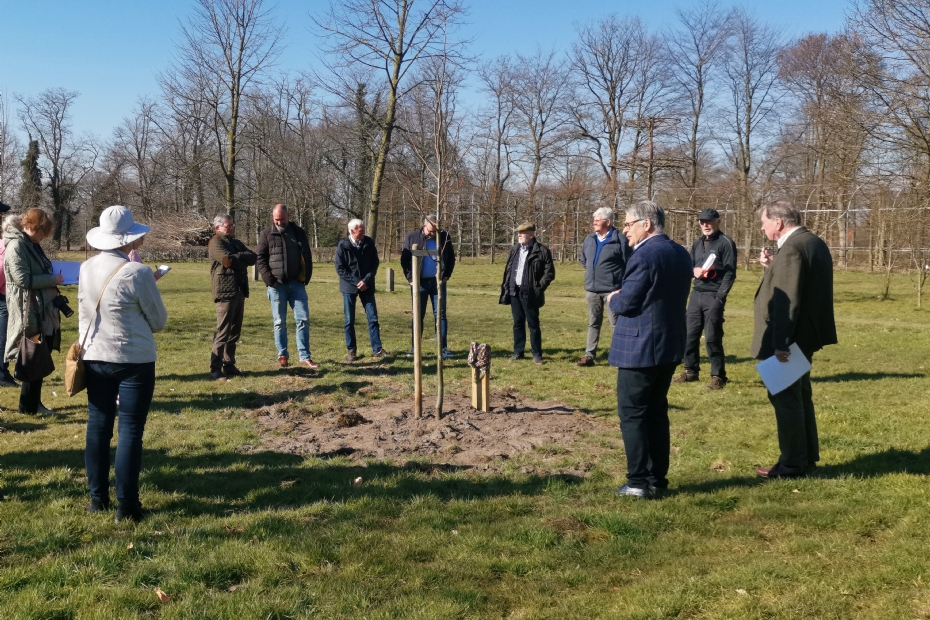 Onder belangstelling van de aanwezigen werd de Tilia platyphyllos Radstake aangeplant 