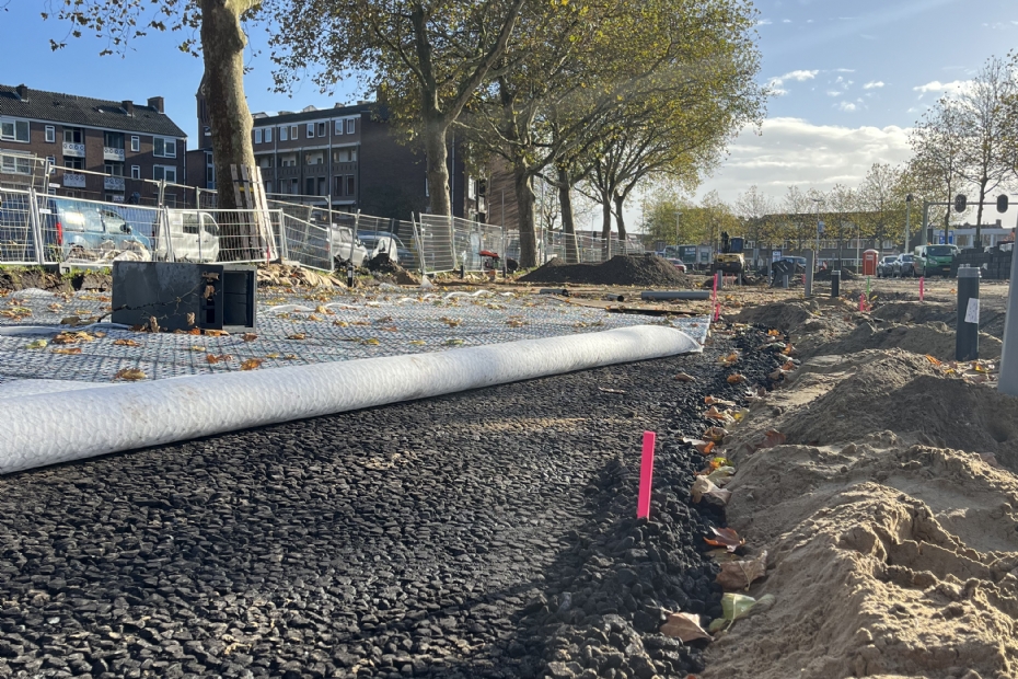 Overzicht van de busbaan met de ruim 84 jaar oude bomen op de achtergrond