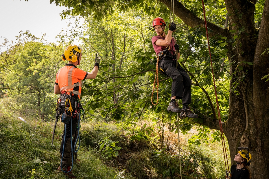 CCB breidt European Tree Worker-opleiding uit