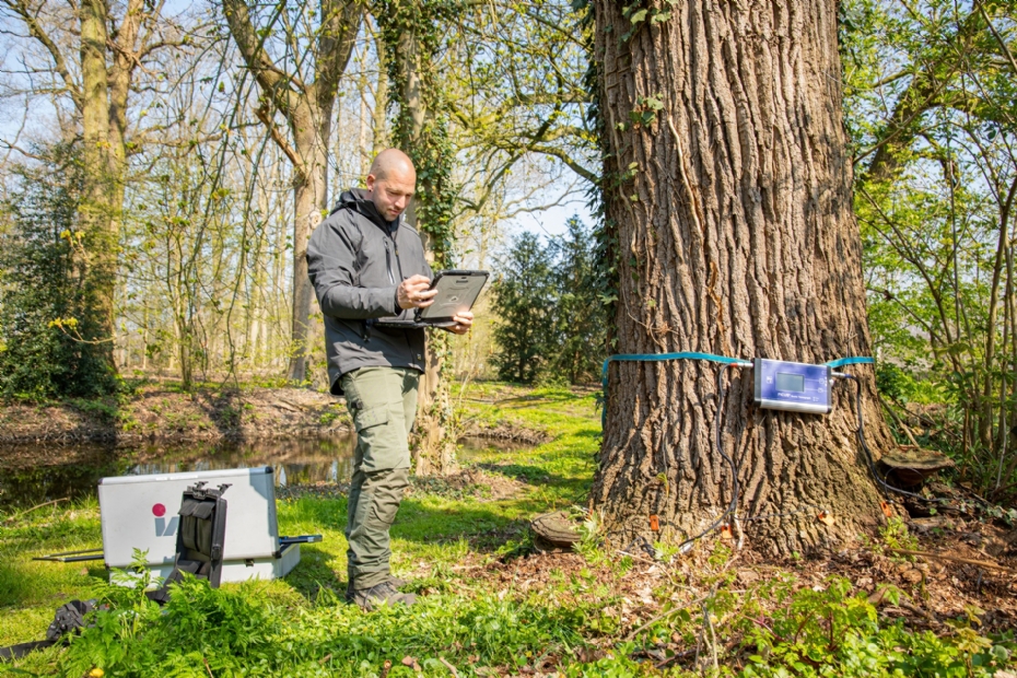 Boominspecteurs Simon van der Burg aan het werk
