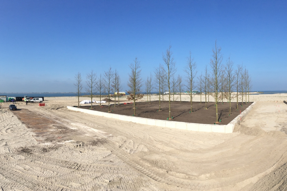 Aanleg bomencarré op zandplaat