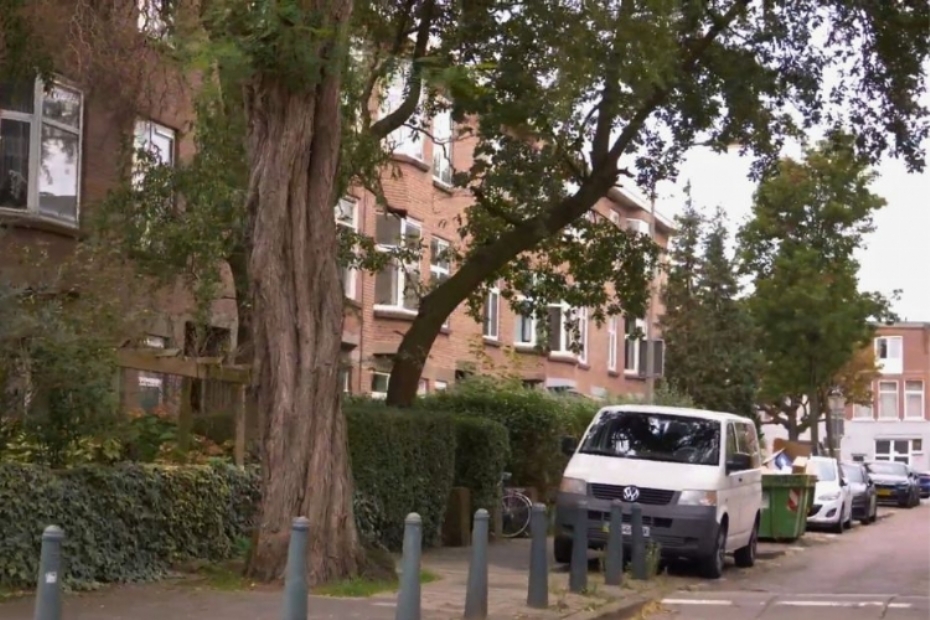 Vergroening van de Den Haagse wijk