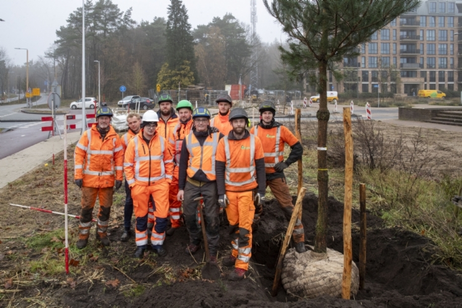 Het Quercus (plant)team Het Quercus (plant)team