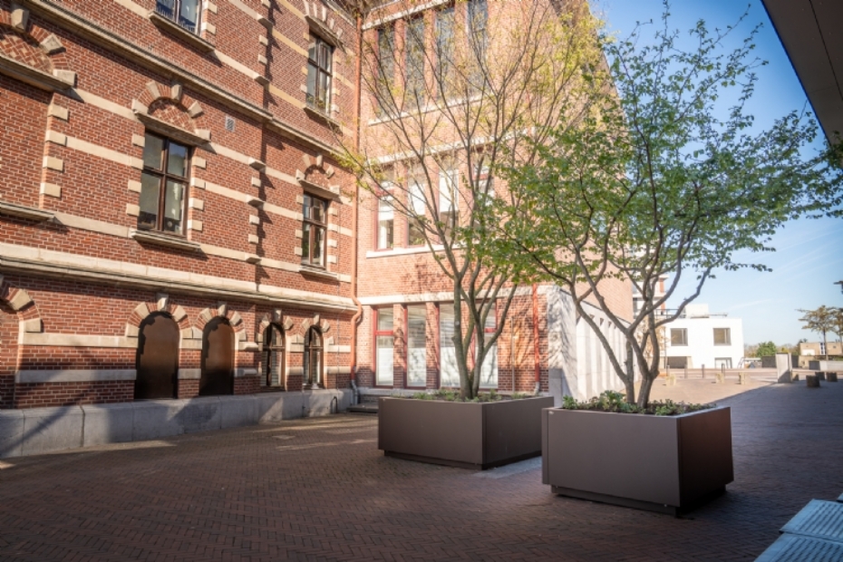 Bomen in bakken in het stadscentrum van Kerkrade