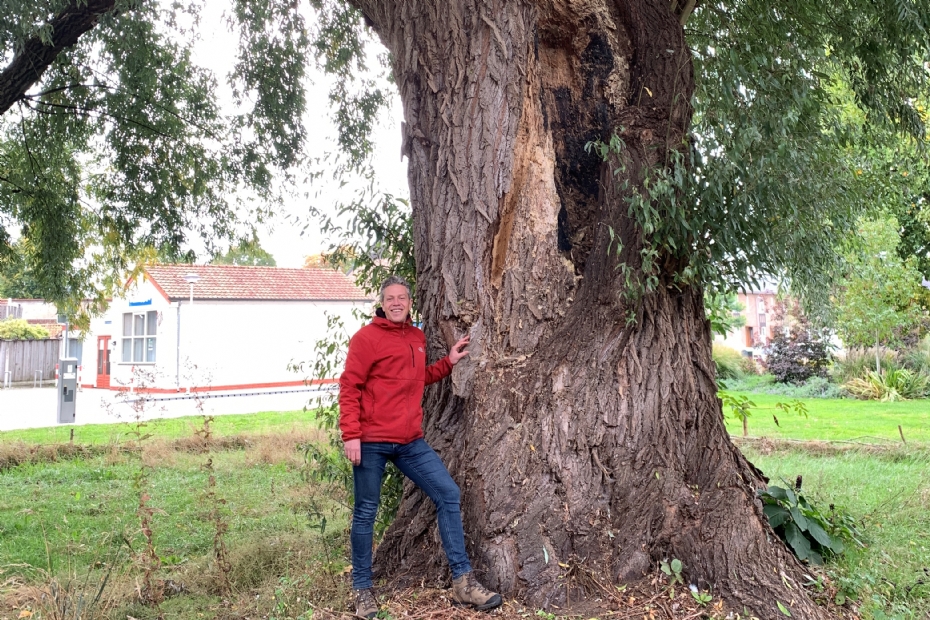 Lars van der Wal naast de veteraanwilg aan de Molenstraat