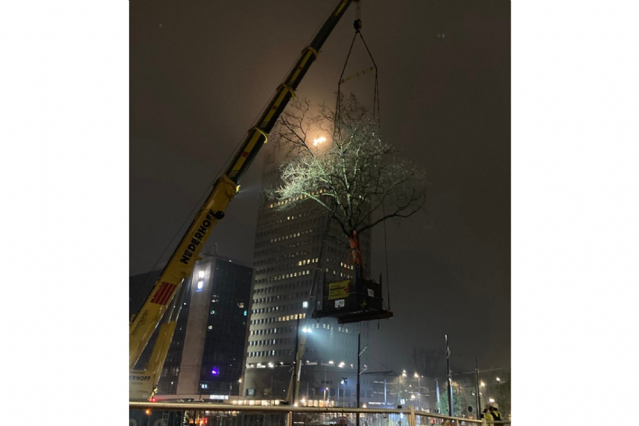 Beeld: gemeente Rotterdam