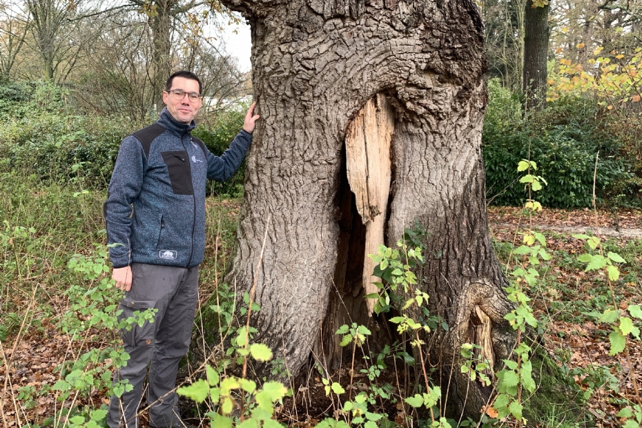 Erik Fidder bij een van zijn favorieten: 'Deze eik vertoont kenmerken van een veteraan'