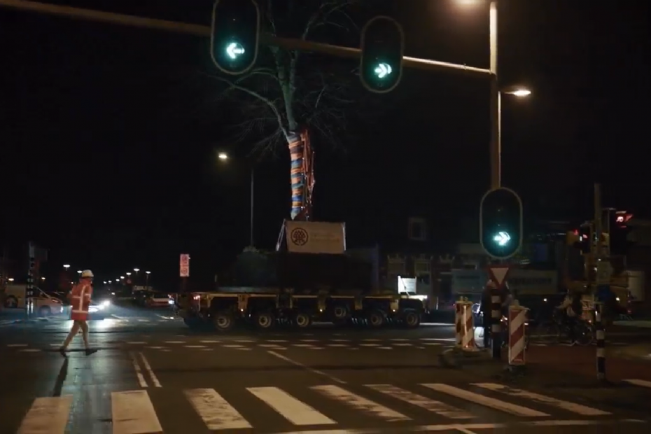 Foto: screenshot van LinkedIn-profiel Stadshavens